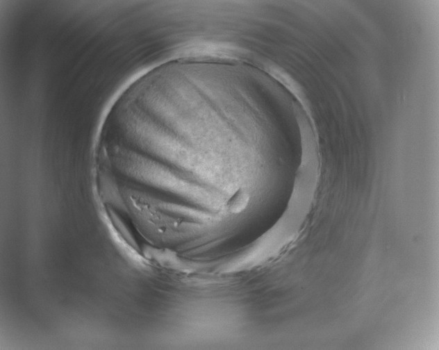 X0000068821152200605191826