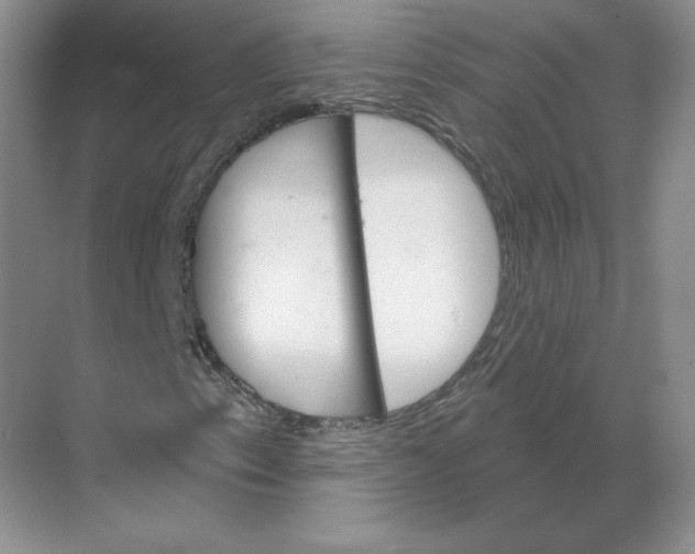 X0000068821153200605191826