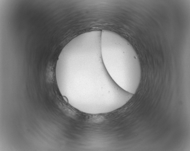 X0000068821154200605191826