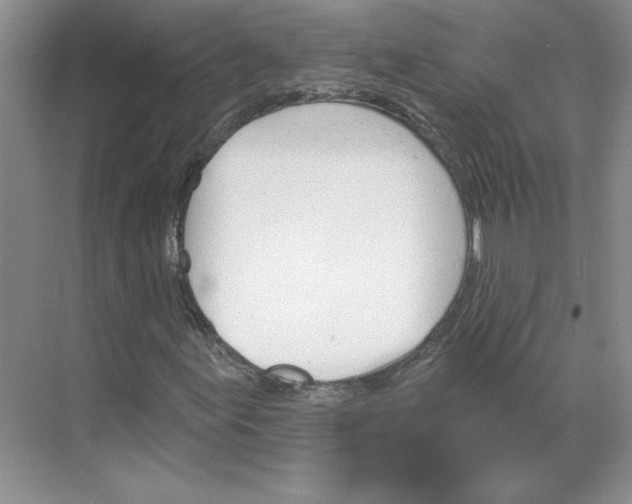 X0000068821155200605191826