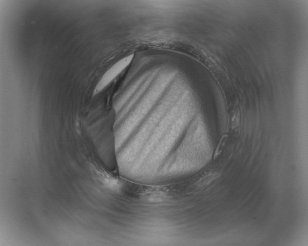 X0000068821156200605191826