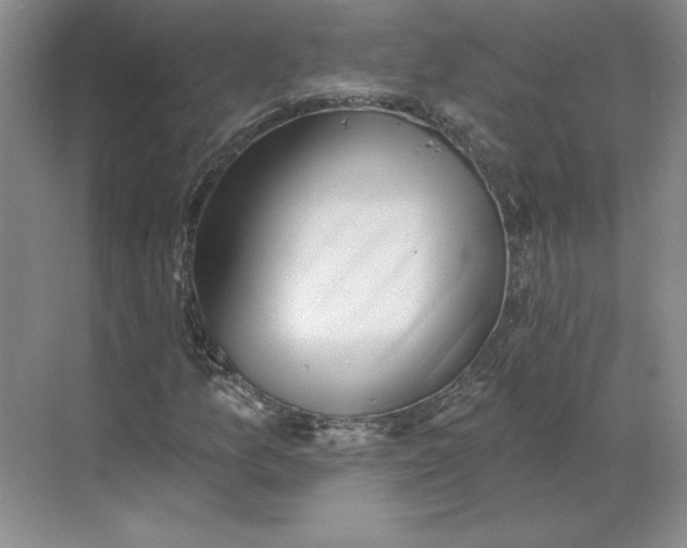 X0000068821157200605191826