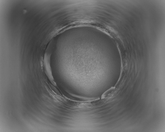 X0000068821161200605191825