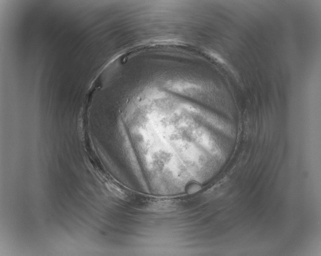 X0000068821162200605191825