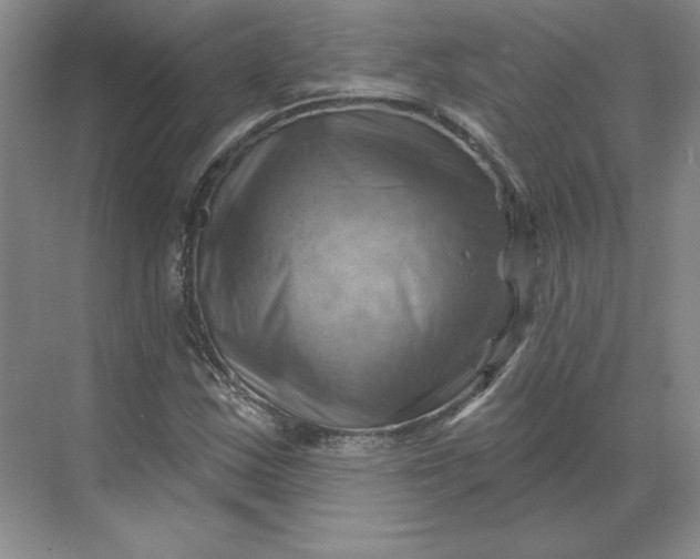 X0000068821163200605191825