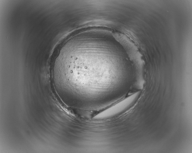 X0000068821164200605191825