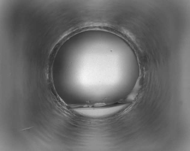 X0000068821165200605191825