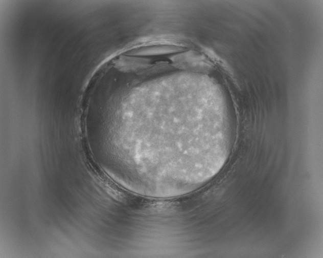 X0000068821166200605191825