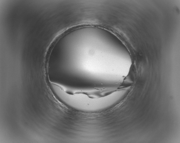 X0000068821168200605191825