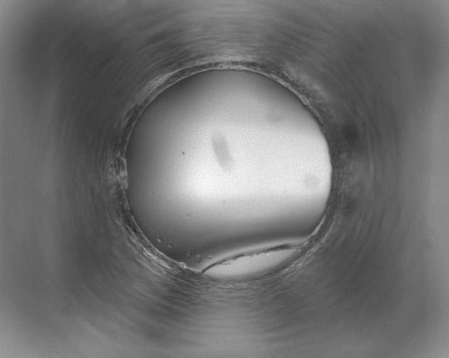 X0000068821169200605191825