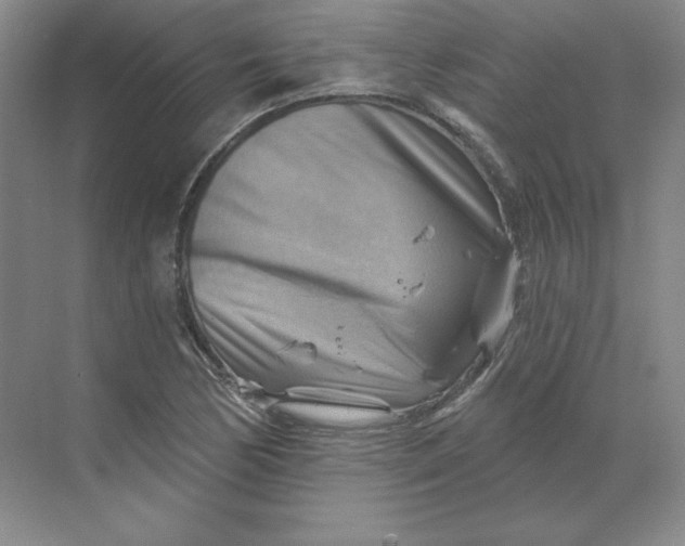 X0000068821170200605191825