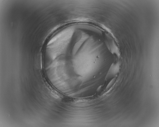 X0000068821171200605191825