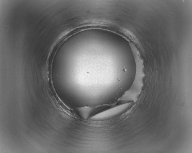 X0000068821172200605191825