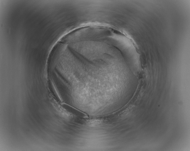 X0000068821173200605191825