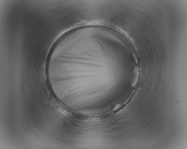 X0000068821174200605191825