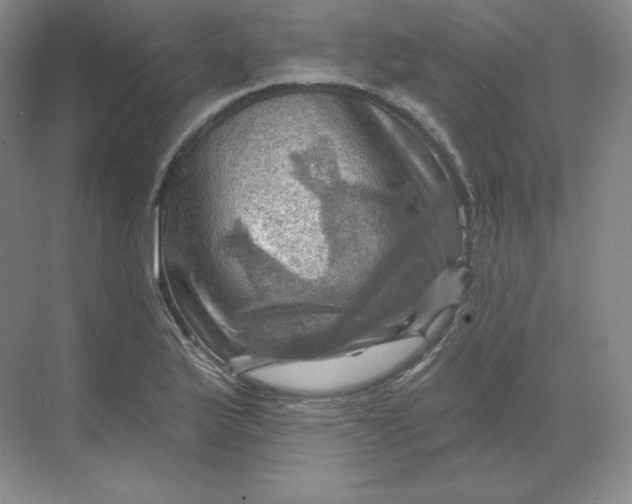 X0000068821175200605191825