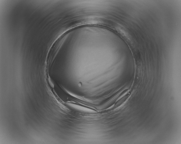 X0000068821178200605191825