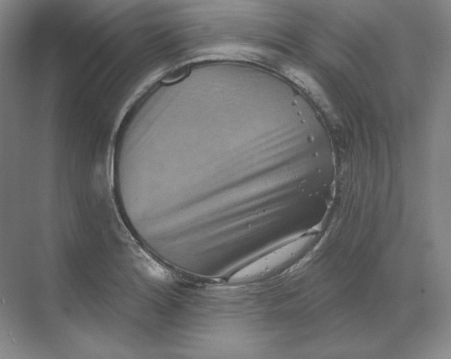 X0000068821180200605191825