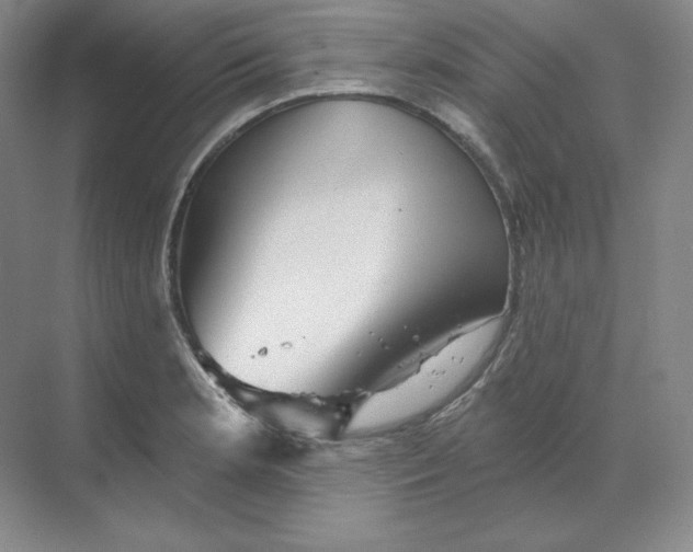 X0000068821181200605191825