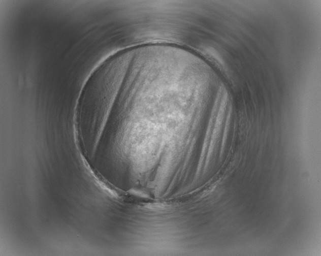 X0000068821182200605191825