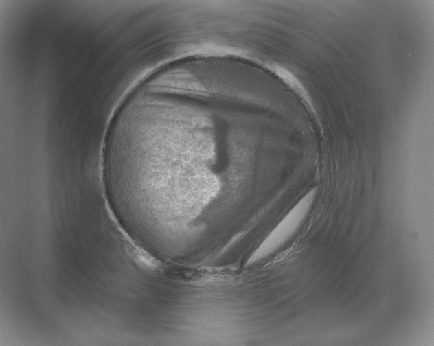 X0000068821183200605191825