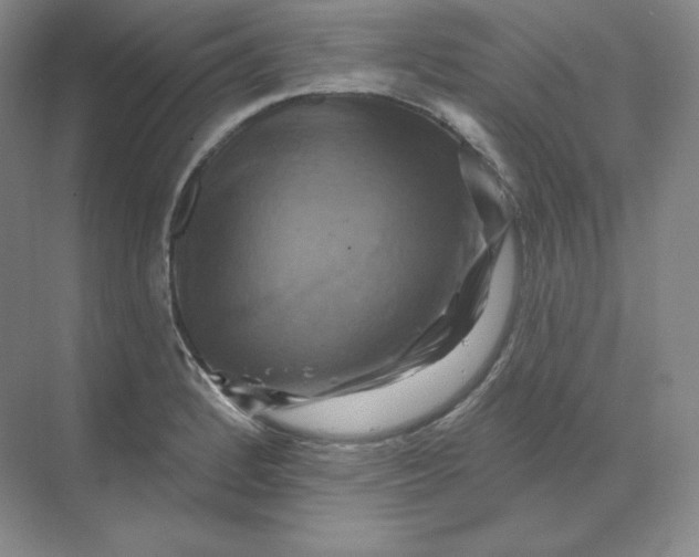 X0000068821184200605191825