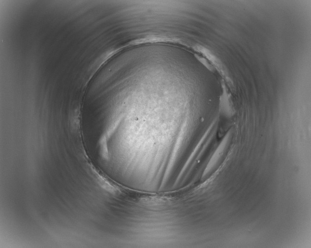 X0000068821185200605191825