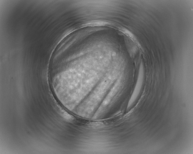 X0000068821186200605191825