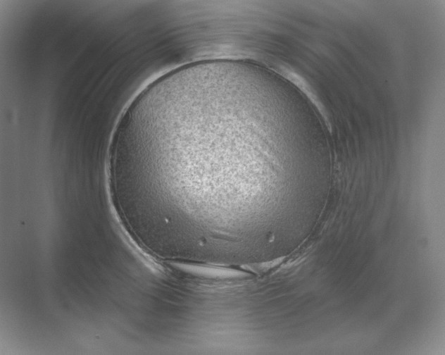 X0000068821187200605191825