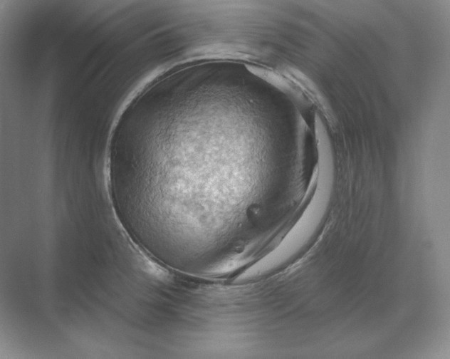 X0000068821188200605191825