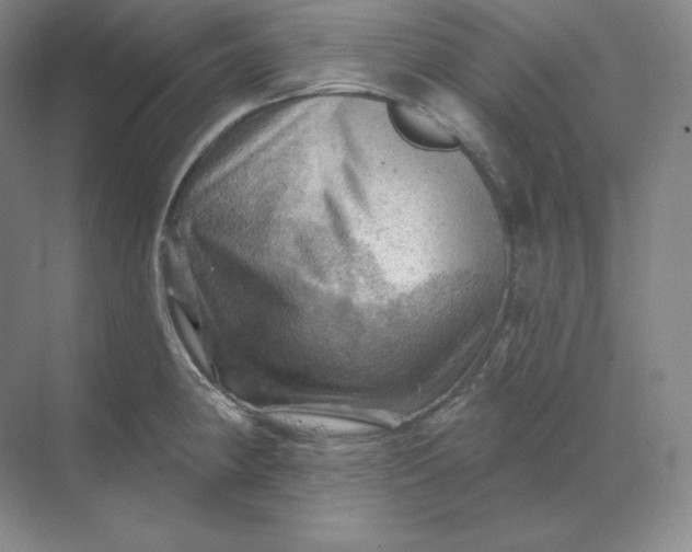 X0000068821190200605191825