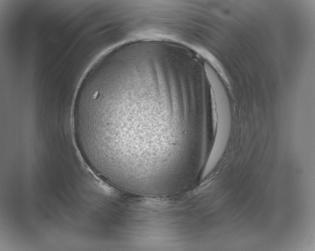 X0000068821191200605191825