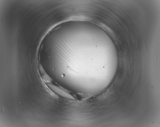 X0000068821192200605191825