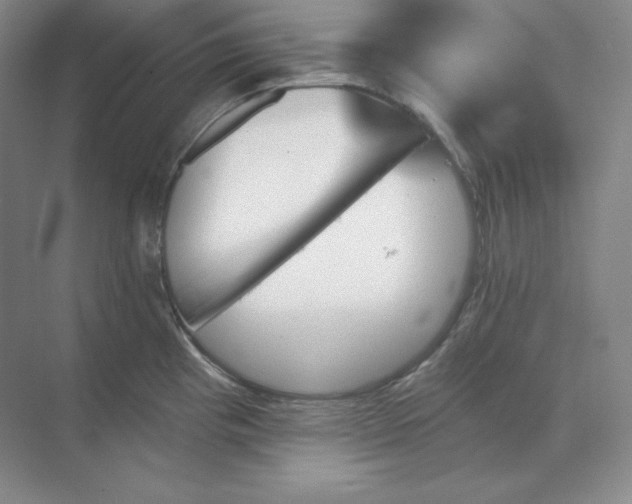 X0000068821193200605191825