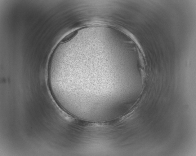 X0000068821195200605191825