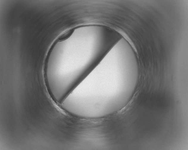 X0000068821197200605191825