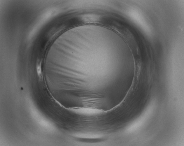 X0000068821198200605191825