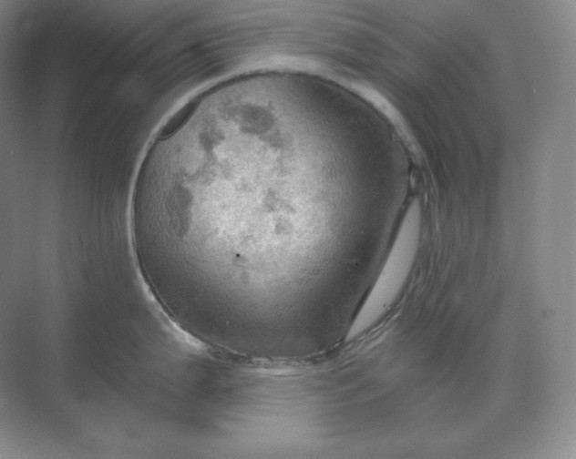 X0000068821199200605191825