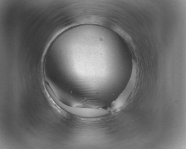 X0000068821200200605191825