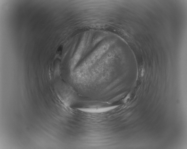 X0000068821202200605191824