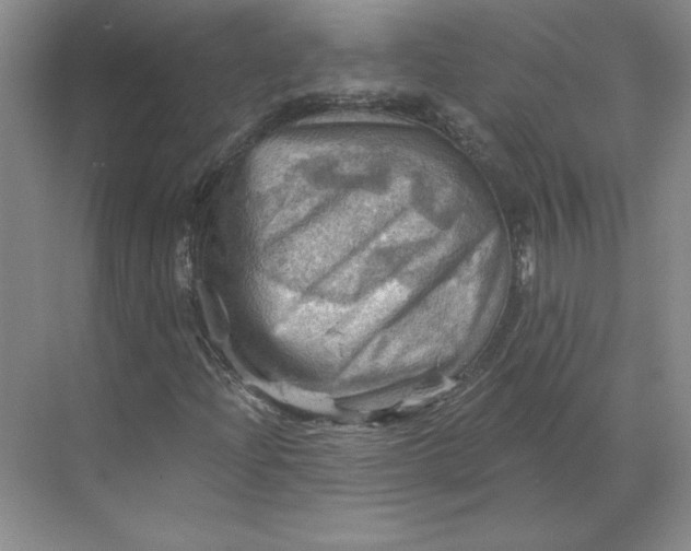 X0000068821204200605191824