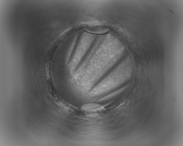 X0000068821205200605191824