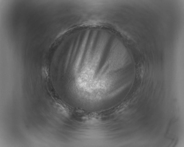 X0000068821206200605191824