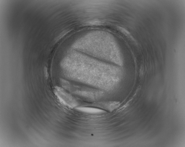 X0000068821209200605191824