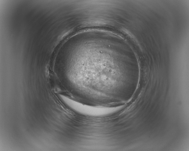 X0000068821210200605191824