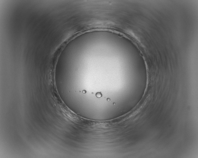 X0000068821211200605191824