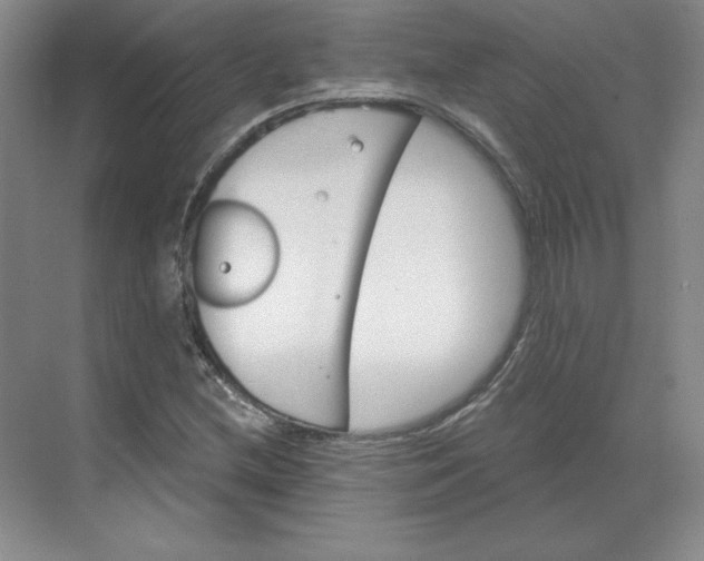 X0000068821212200605191824