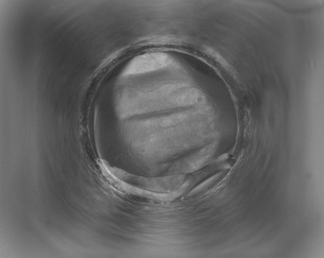 X0000068821213200605191824