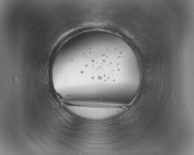 X0000068821214200605191824