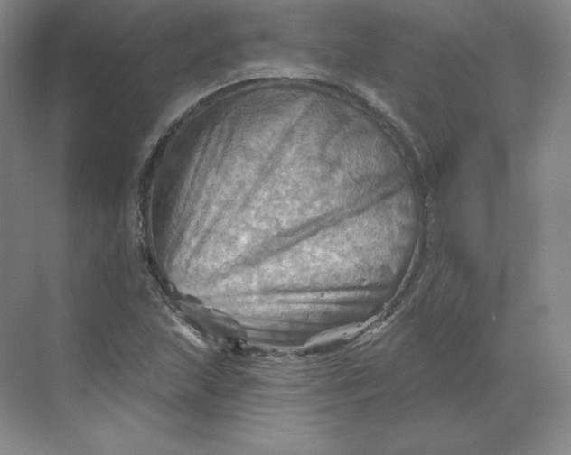 X0000068821215200605191824